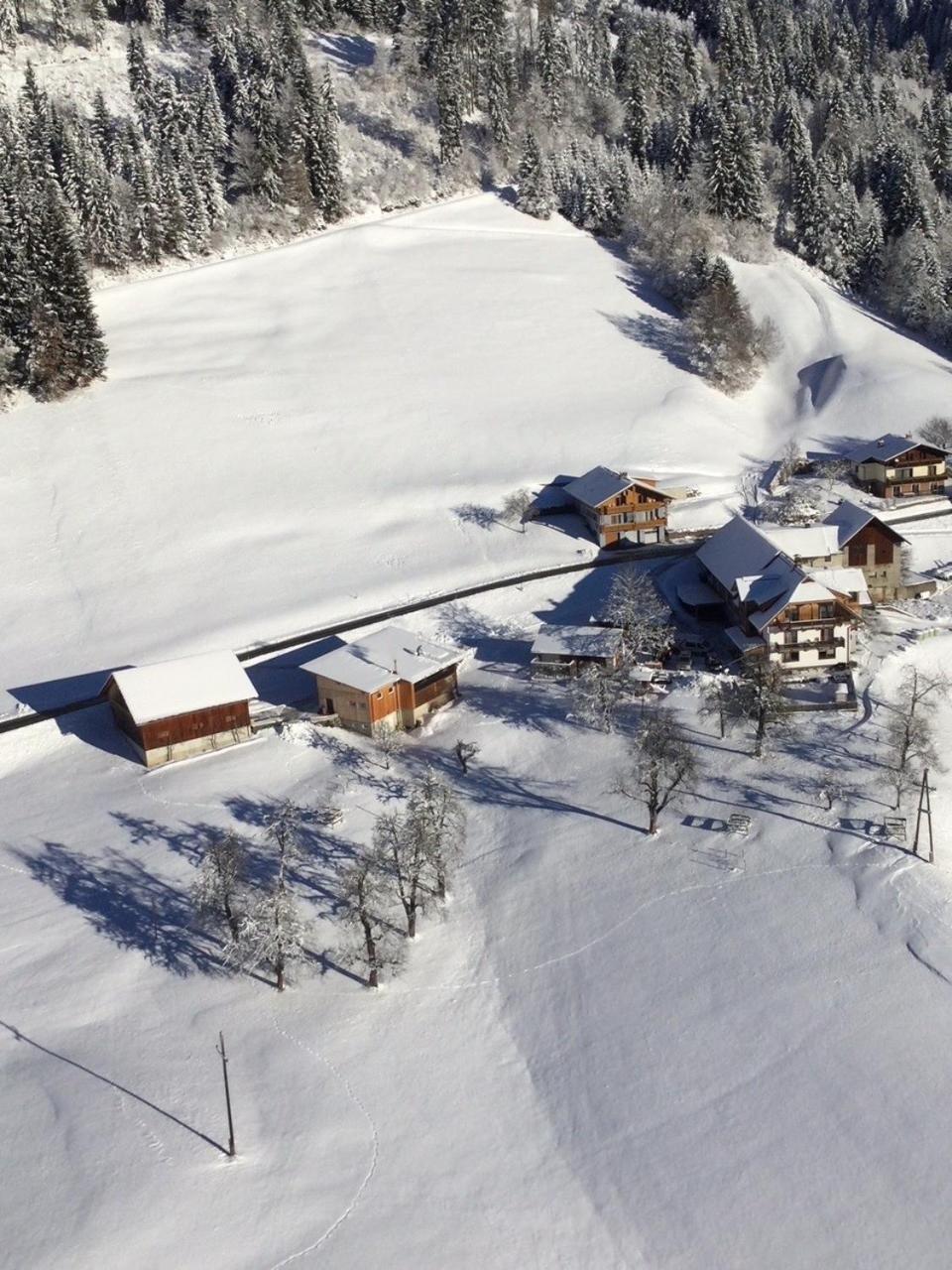 Bergbauernhof Schluder Apartment แฮร์มากอร์ ภายนอก รูปภาพ